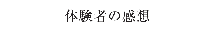 体験者の感想