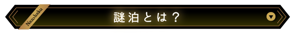 謎泊とは？